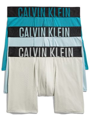 Intense Power Micro Boxer Brief 3 Pack