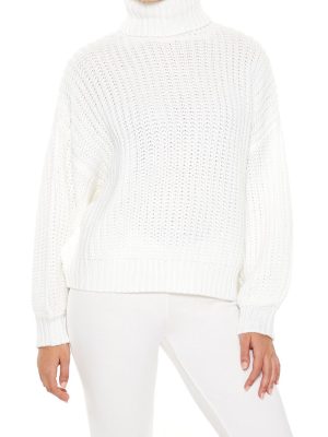 Turtleneck Knit Sweater